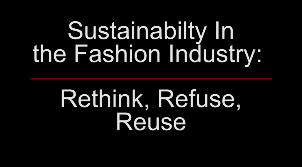 Sustainability in the Fashion Industry